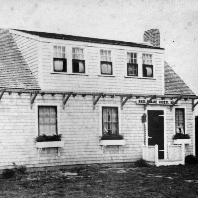 Black and white image of a 1.5 story house with dormers 